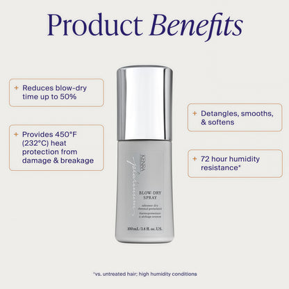 Kenra Platinum Blow-Dry Spray